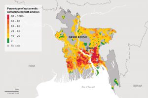 Arsenico nelle cque in Bangladesh