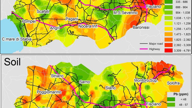 Distribuzione degli elementi tossici e trasferimento dall’ambiente all’uomo tracciata utilizzando gli isotopi del Piombo. Caso studio nel bacino del fiume Sarno, Italia meridionale.