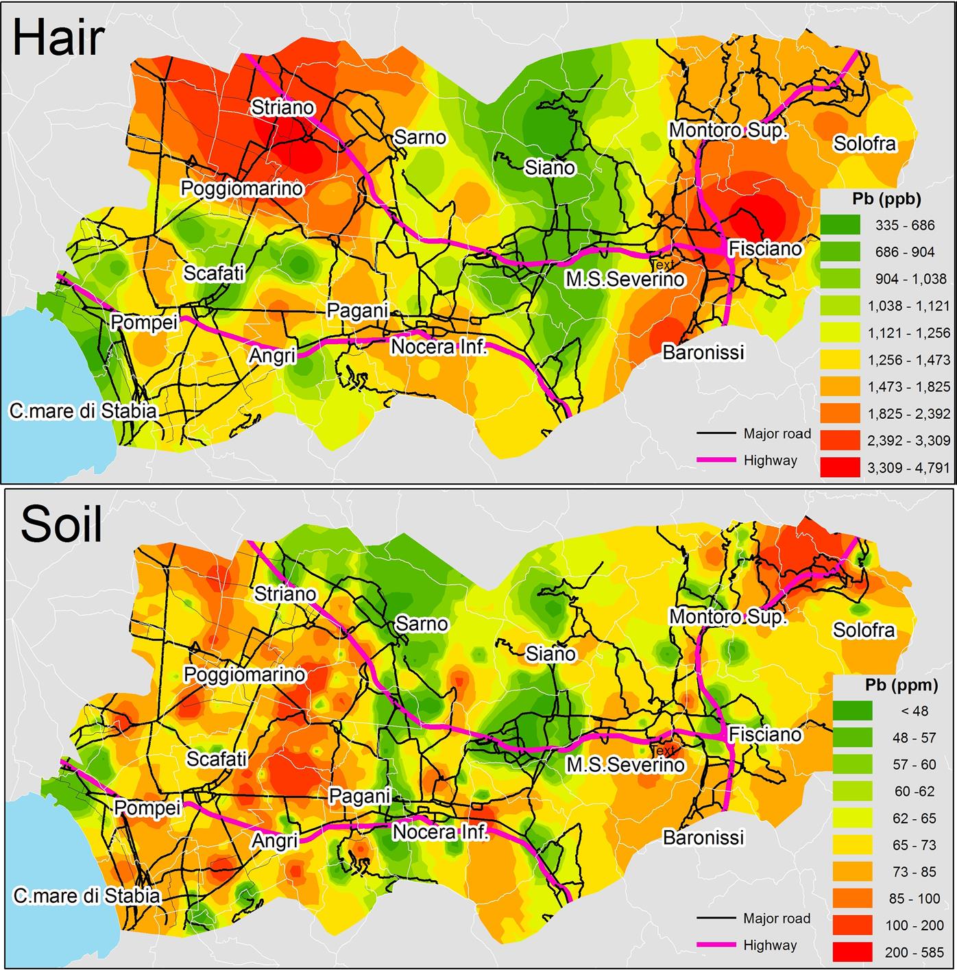 Distribuzione degli elementi tossici e trasferimento dall’ambiente all’uomo tracciata utilizzando gli isotopi del Piombo. Caso studio nel bacino del fiume Sarno, Italia meridionale.