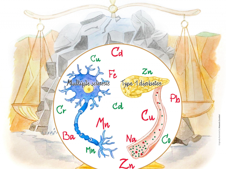 Importanza degli oligoelementi essenziali nell’alimentazione e nell’acqua potabile. Salute umana e rischio di malattie autoimmuni