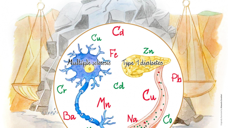 Importanza degli oligoelementi essenziali nell’alimentazione e nell’acqua potabile. Salute umana e rischio di malattie autoimmuni
